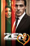 Detektyw Zen - Zen 2011 [Miniserial] [WEB-DL.H264-FT] [Lektor PL] [Alusia]
