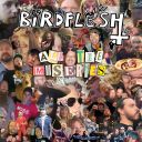BIRDFLESH - ALL THE MISERIES (2021) [EP] [MP3@320] [FALLEN ANGEL]