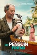 Mój przyjaciel pingwin / My Penguin Friend (2024) [PL.WEB-DL.XviD-OzW] [Lektor PL] [avi]  [FIONA9]