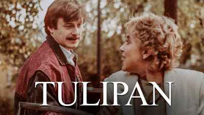 Tulipan- odc. 6 -  (WEB) (DivXXviD ) (DVD) Mp4