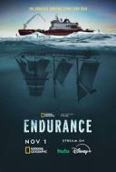 Endurance: wyprawa na Antarktydę / Endurance (2024) [PL.1080p.DSNP.WEB-DL.H264.DDP5.1-FOX] [Lektor PL] [mkv]  [FIONA9]