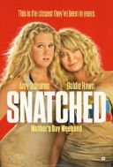 Babskie wakacje / Snatched (2017) [h264] [1920x800] [Lektor PL] [mkv]  [FIONA9]