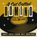 Roy Orbison - A Cat Called Domino Rare Cuts from Roy (2024) [Flac]