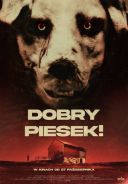 Dobry piesek! / Good Boy / Meg, deg & Frank (2022) [AI.720p.edition-WEB-DL.H265.DarK] [Lektor PL syntezator mowy] [mkv] [FIONA9]