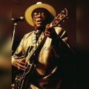 Jimmy Rogers - Collection (1970 - 1999) (with Big Bill Hickey, Hubert Sumlin and Friends), [FLAC] lossless [ToAlien]