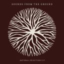 Sounds From The Ground - Natural Selection EP (2019) [FLAC]