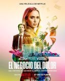 Recepta na przekręt / Pain Hustlers (2023) [PL.AD.1080p.NF.WEB-DL.H264.DDP5.1-FOX] [Lektor PL] [mkv]  [FIONA9]
