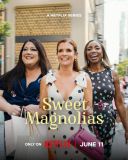 Słodkie Magnolie / Sweet Magnolias [Sezon 5] [MULTi] [1080p] [NF] [WEB-DL] [H264] [DDP5.1.Atmos-K83] [Lektor i Napisy PL]