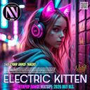 VA - Electric Kitten (2026) [MP3 320kbps]