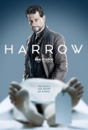 Patolog / Harrow (2019) [Sezon 2] [1080p] [WEB-DL] [AAC] [H265-FT] [Lektor PL]