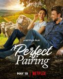 Perfekcyjne połączenie / A Perfect Pairing (2022) [MULTi.1080p.WEB-DL.H264-DSiTE] [Lektor PL] [mkv]  [FIONA9]