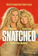 Babskie wakacje / Snatched (2017) [MULTi_2160p.UHD.BluRay.REMUX.HEVC.AC3-K37] [h265] [Film polski] [mkv]  [FIONA9]