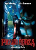 Przed burzą - Storm Warning (2007) [DVDRip] [XviD-NN] [Lektor PL]
