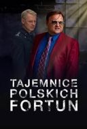 Tajemnice polskich fortun (2023) S01E06 [PL.1080p.NF.WEB-DL.H264.DDP5.1-K83] [Lektor PL] [mkv]  [FIONA9]