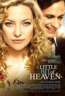Odrobina nieba / A Little Bit of Heaven (2011) [PL.480p.BDRip.XviD.AC3] [Lektor PL] [avi]  [FIONA9]