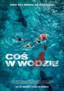 Coś w wodzie / Something in the Water (2024) [720p] [WEB-DL] [XviD] [AC3-OzW] [Lektor PL]