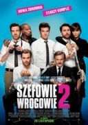 Szefowie wrogowie 2 / Horrible Bosses 2 (2014) [THEATRiCAL CUT] [720p] [BDRip] [XviD] [DD5.1-ELiTE] [Lektor PL]