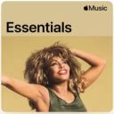 Tina Turner - Essentials (2025) [MP3 320kbps]