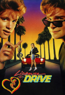 Prawo jazdy - License to Drive 1988 [10Bit SDR UPSCALING] [2160p BluRay H265 AC3-AS76-FT] [Lektor PL] [Alusia]