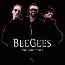 Bee Gees: One Night Only *1998* mp3@320kbps d11