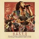 HAKEN - LIVEFORMS [AN EVENING WITH HAKEN] (2025) [BD] [FALLEN ANGEL]