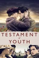 Testament młodości - Testamentl of Youth 2014 [1080p] [WEB-DL] [H264] [AAC.2.0-S56] [Lektor PL]