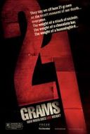 21 gramów / 21 Grams (2003) [MULTi.1080p.BluRay.REMUX.AVC.DTS-HD.MA.5.1-LTS] [h264] [Lektor PL] [mkv]  [FIONA9]