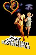 Zasada domina - The Domino Principle 1977 [10Bit SDR UPSCALING] [2160p.BluRay.H265.AC3-AS76-FT] [Lektor PL] [Alusia]