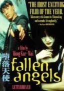 Upadle anioly - Duo luo tian shi (1995) [DVDRip] [Lektor PL] [joanna668]