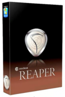 Cockos REAPER 7.38 - 64bit [ENG/PL] [Crack R2R &amp; Commercial License] [+Spolszczenie] [azjatycki]