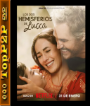 Dwie polkule Lukki / Lucca's World / Los dos hemisferios de Lucca (2025) [480p]  [WEB-DL] [XviD] [DD5.1-K83] [Lektor PL]
