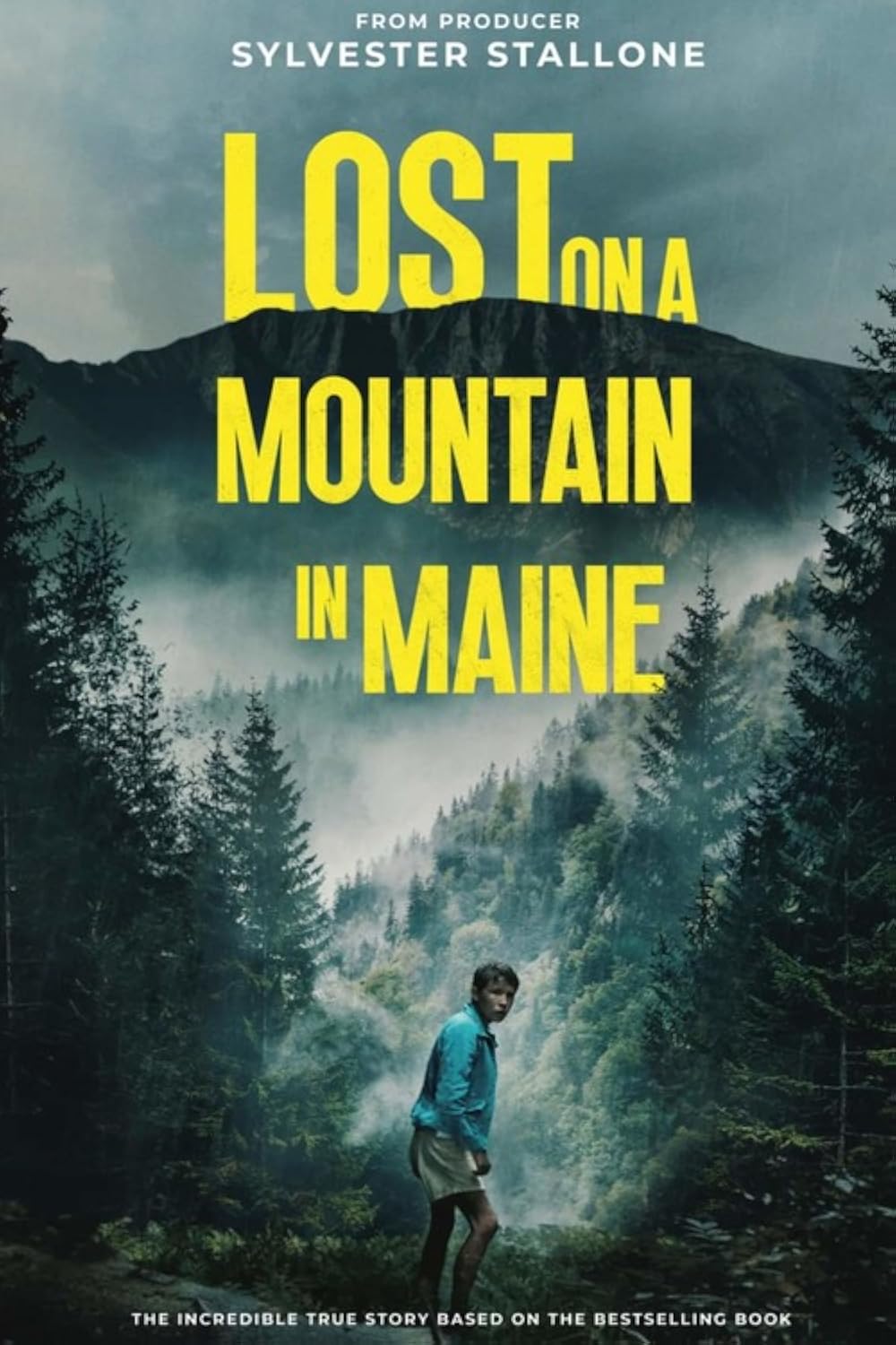 Lost on a Mountain in Maine (2024) [PLSUB.Ai.1080p.WEB-DL.H.264-COLLECTiVE] [Napisy PL google translate] [mkv]  [FIONA9]